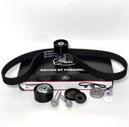 Ремень ГРМ Рено Дастер, Каптур, Меган 2.0 GATES K055550XS 2454