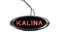 Диодный шильдик Калина с надписью «KALINA» - красный Sal-Man 8022