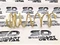 Пружины передней подвески с переменным шагом ВАЗ 2110-2112 16кл."GOLD PROGRESIV" SS20 SS30125 2158