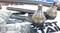 Трапеция рулевая в сборе Нива Шевроле TRT RS7017 компл - фото 99716